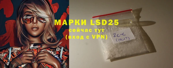 мдпв Ладушкин