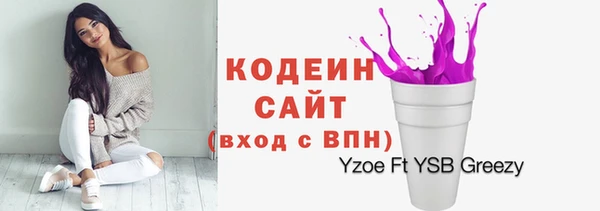 мдпв Ладушкин